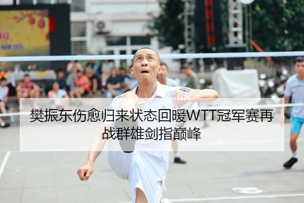 樊振东伤愈归来状态回暖WTT冠军赛再战群雄剑指巅峰